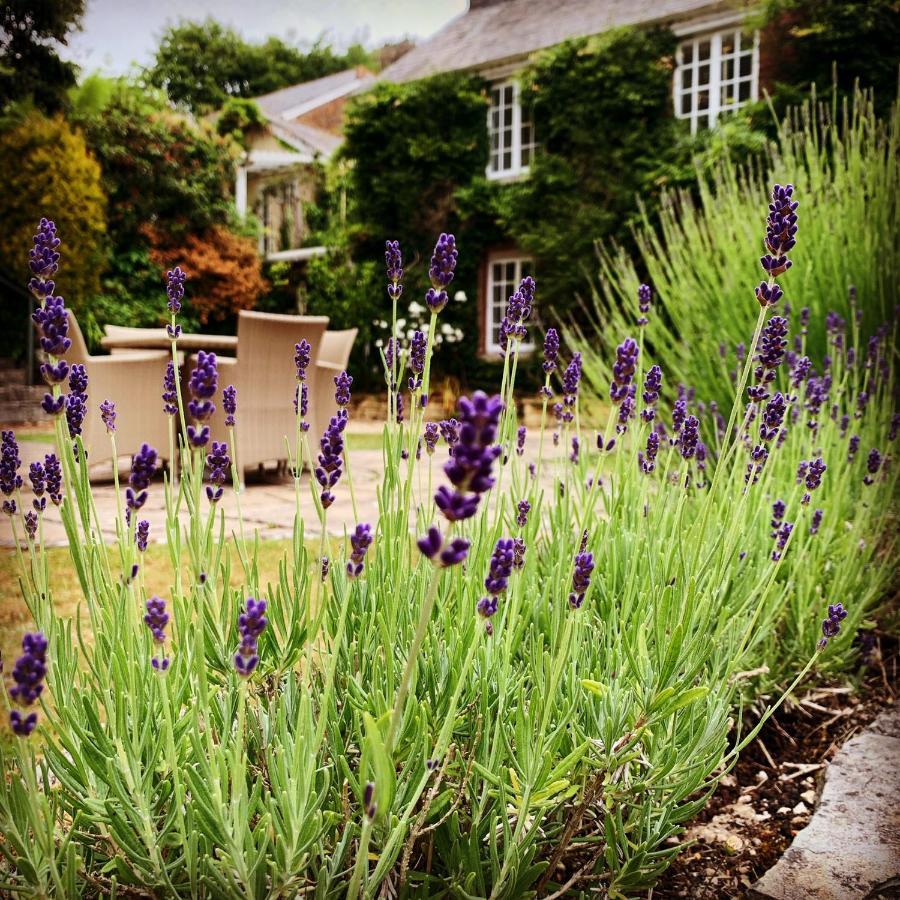 Hotel Boscundle Manor St Austell Zewnętrze zdjęcie